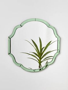 a mirror that has a plant in it