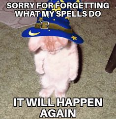 a cat wearing a blue hat with the caption sorry for forgeting what my spells do it will happen again