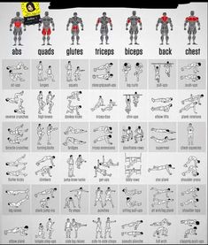 an exercise chart showing the different exercises to do with your body and shoulders, including