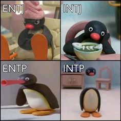 Intj Entp, Intp Personality Type, Intp T, Intp Personality, Intj Intp, Mbti Relationships, Myers Briggs Personality Types