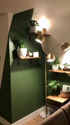 a living room with green walls and plants on the shelves