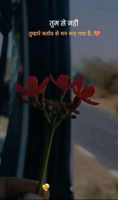 a person holding a flower in front of a bus window with the words written on it