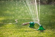 a sprinkler is spraying water on the grass