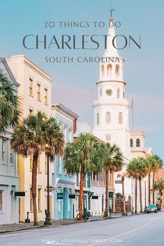 charleston, south carolina with palm trees in the foreground