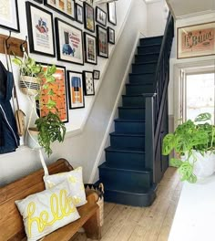 a staircase with pictures on the wall next to a bench and potted plant in front of it