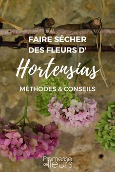 flowers hanging from a branch with the words faire secher des fleurrs d'hortesias methodes & conseils