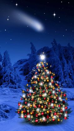 a christmas tree in the middle of a snowy field with stars and lights on it