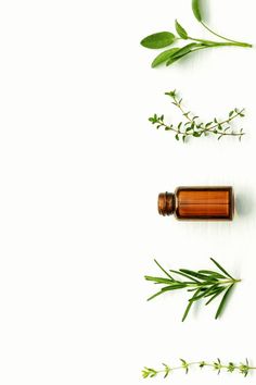 Bedroom Plant Aesthetic, Ayurveda Photography, Breakfast Plant Based, How To Grow Rosemary, Grow Rosemary, Plant Bedroom, Plant Tattoos