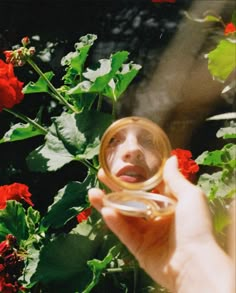 a person holding up a magnifying glass in front of red and green flowers