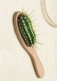 a small green cactus sitting on top of a wooden brush next to a white wall