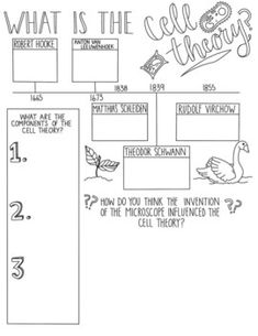 the diagram for what is the cell theory? and how do you think about it?