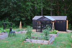 an outdoor garden area with various vegetables and plants