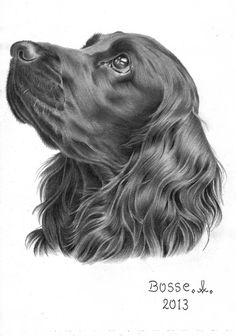 a black and white drawing of a dog