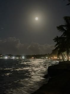 the moon shines brightly over the ocean and beach at night, with palm trees in foreground