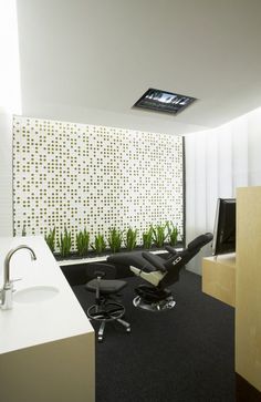 an office with a chair, computer monitor and plant on the wall next to it