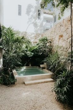 an outdoor swimming pool surrounded by trees and plants