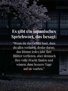 German Words, Dear Self, Affirmations, Spirituality, Funny Memes, Mindfulness