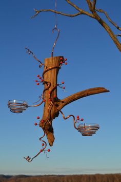 a tree branch with red berries hanging from it's branches and two glass vases in the background