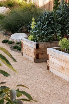 several wooden planters sitting in the middle of a garden