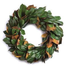 a wreath made out of green leaves on a white background