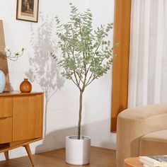 a small tree in a white pot on a wooden table next to a beige chair