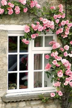 pink roses growing on the side of a stone building with white windows and shutters