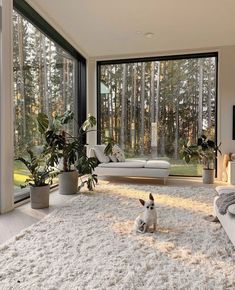 a small dog sitting on the floor in front of a living room with large windows