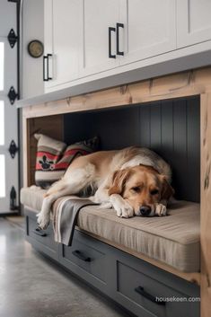 a large brown dog laying on top of a bed in a room with white cabinets