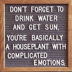 a sign that says don't forget to drink water and get sun, you're basically a houseplant with complicated emotions