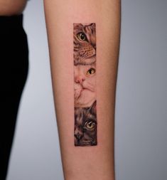 a woman's arm with two cats on it and one cat looking at the camera