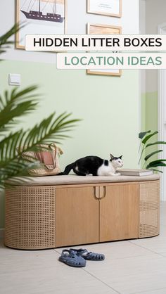 The Poop Lounge is a modern cat furniture solution to hide your cat’s litter box in small spaces, whether in your bedroom, living room or as a litter box enclosure hallway bench. With a high end design that contains odors, it’s the perfect litter box idea for multi-cat households and adds elegance to any room. Keep your home clean and organized; our large litter box enclosure is ideal for small spaces and chic decor. Shop your cat's new favorite litter box enclosure furniture at myshichic.com Litter Box In Bedroom, Ideas For Small Apartments, Hallway Bench