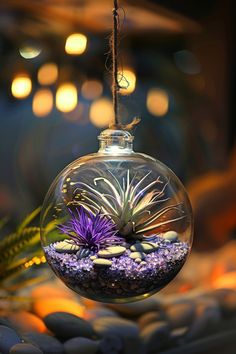 an air plant in a glass ball hanging from a rope with rocks and plants inside