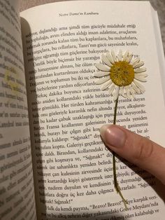 a hand holding a flower in front of an open book