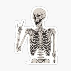 a skeleton holding up two fingers sticker