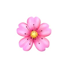 a pink flower on a white background