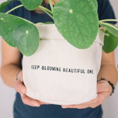 a person holding a potted plant that says keep blooming beautiful one