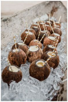 chocolate coconuts are lined up on ice