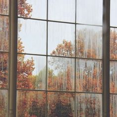 the reflection of autumn trees in a glass building's window panes, with rain falling on them