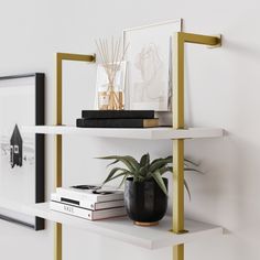 two shelves with books, plants and pictures on them