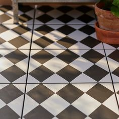 a potted plant sitting on top of a black and white checkered tile floor