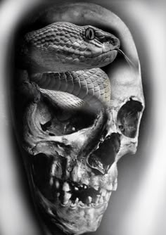 a black and white photo of a skull with a snake on it's head