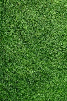 an overhead view of green grass