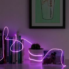 a purple light shines on a shelf next to books and a cactus in a pot