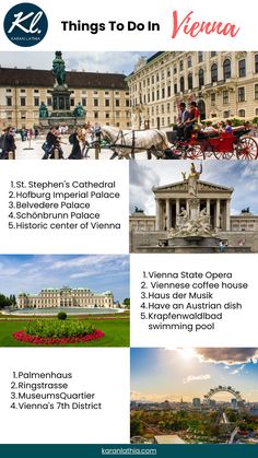 the things to do in vienna