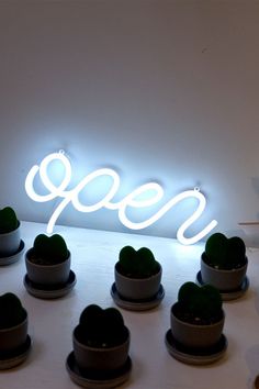 a neon sign that says open with small succulents in the foreground