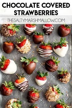 chocolate covered strawberries are arranged on a tray