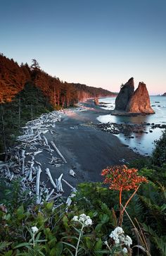 the beach is surrounded by many trees and bushes, along with large rock formations in the distance