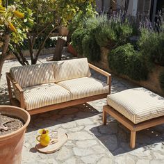 an outdoor seating area with potted plants and trees in the background, including a couch