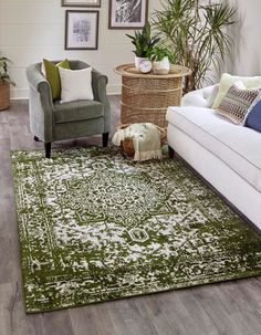 a living room with green and white rugs, couches and pictures on the wall