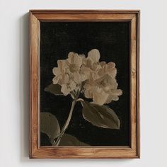 a painting of white flowers in a wooden frame on a wall with a black background